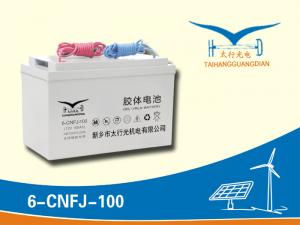 6-CNFJ-100