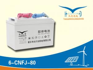 6-CNFJ-80